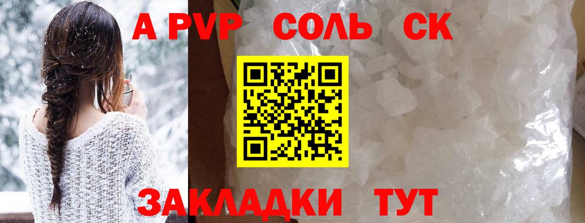 A PVP СК Печора