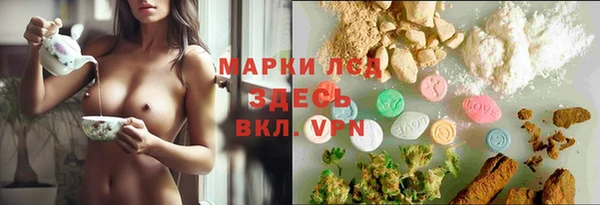 прущие грибы Белокуриха