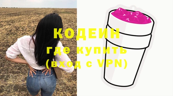 молекула духа Белоозёрский