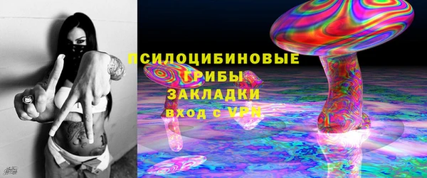 прущие грибы Белокуриха