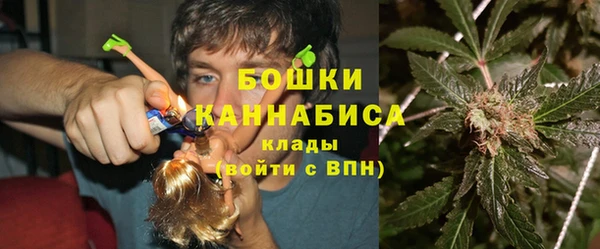 прущие грибы Белокуриха