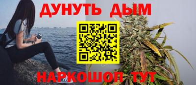сатива Славгород