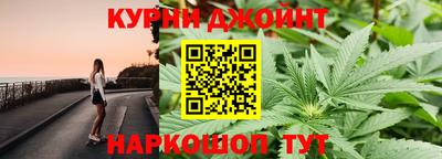 сатива Славгород