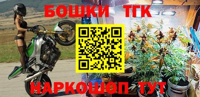 сатива Славгород