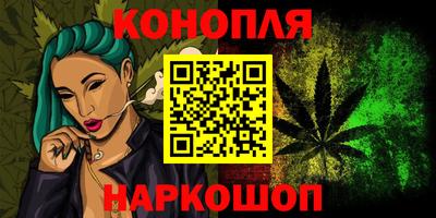 сатива Славгород