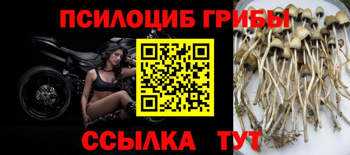Печора  Псилоцибиновые грибы Psilocybe  Псилоцибиновые грибы мухоморы  наркота  Вход с VPN 
